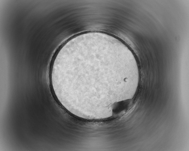 X0000093520939200711091737