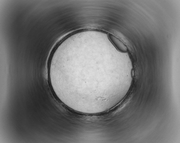 X0000093520940200711091737