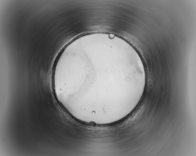 X0000093520941200711091737