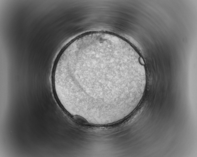 X0000093520943200711091737