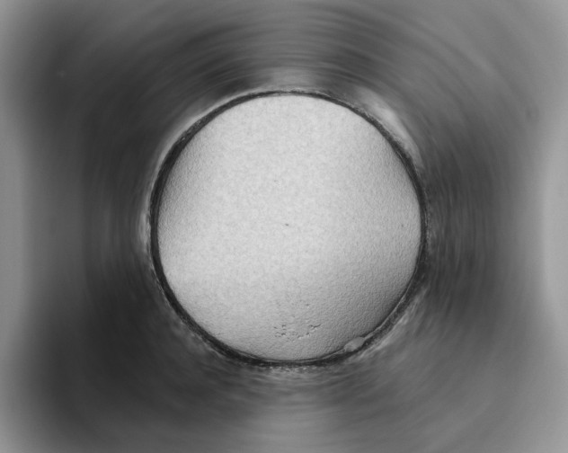 X0000093520944200711091737