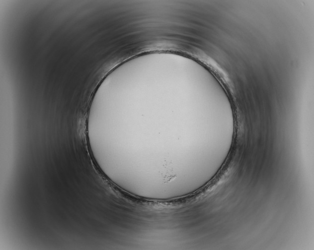 X0000093520945200711091737