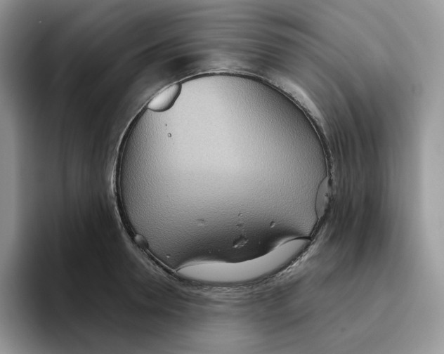 X0000093520946200711091737