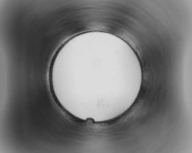 X0000093520947200711091737