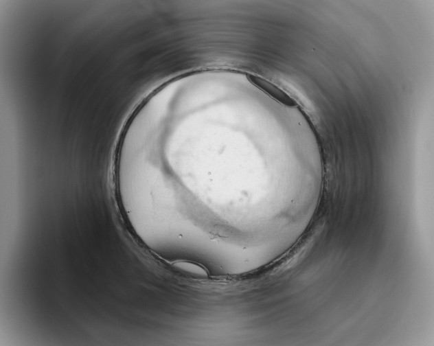 X0000093520948200711091737