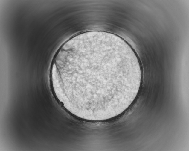 X0000093520949200711091737