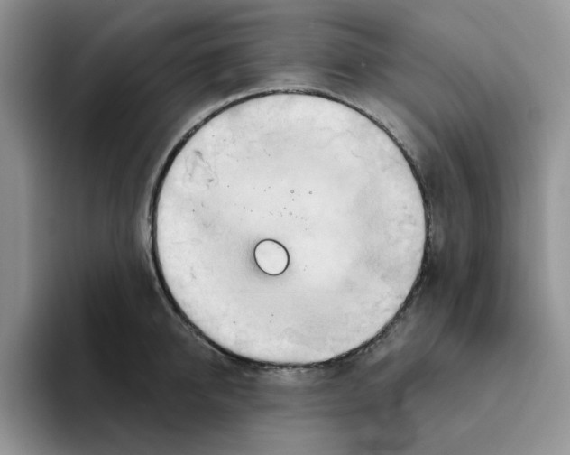 X0000093520950200711091737