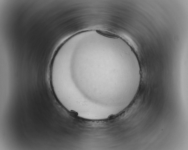 X0000093520952200711091737