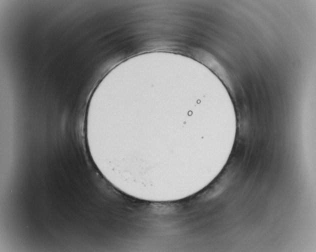 X0000093520954200711091737