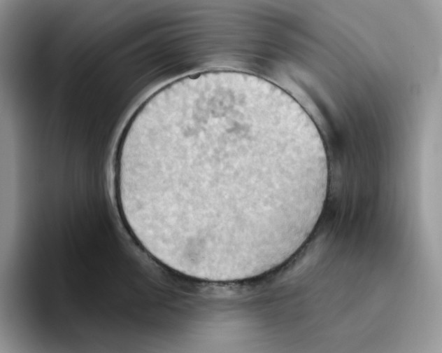 X0000093520955200711091737