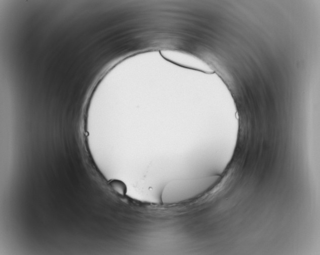 X0000093520956200711091737