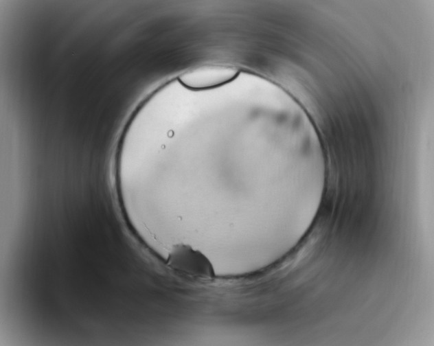 X0000093520958200711091737