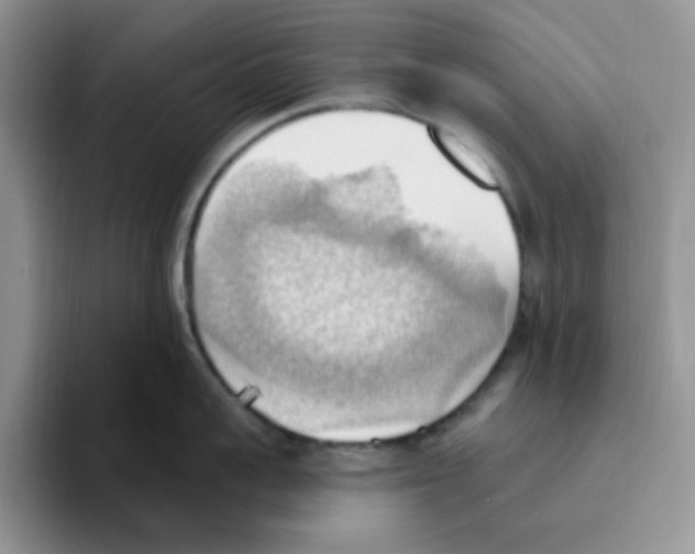 X0000093520959200711091737