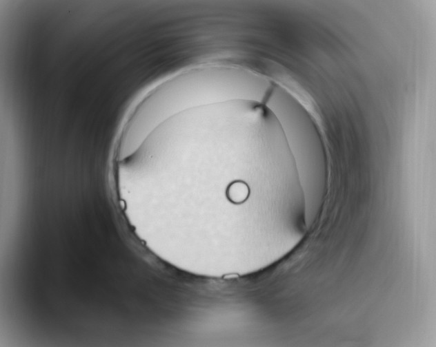 X0000093520960200711091737