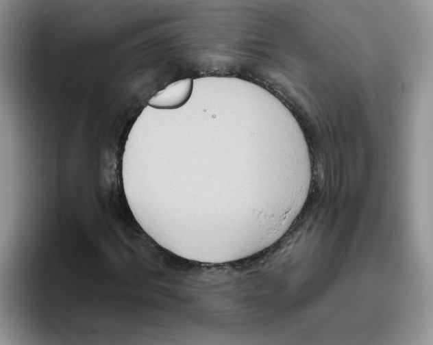 X0000093520964200711091736