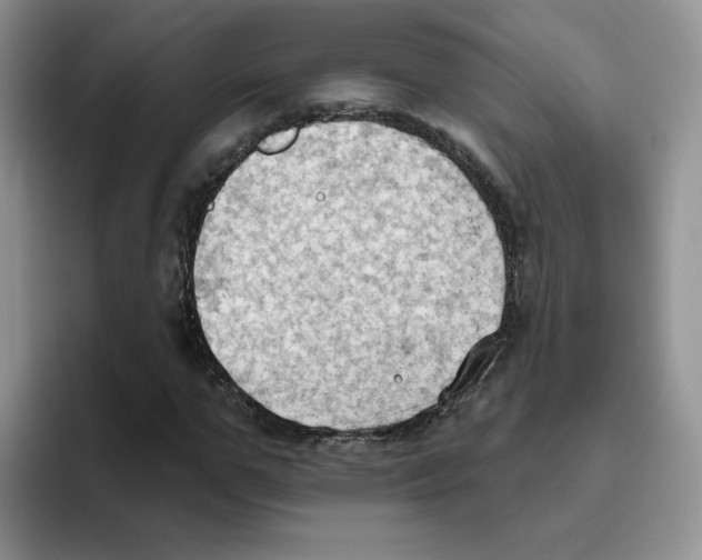 X0000093520967200711091736