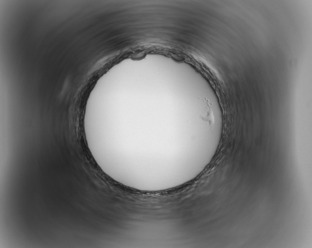 X0000093520968200711091736