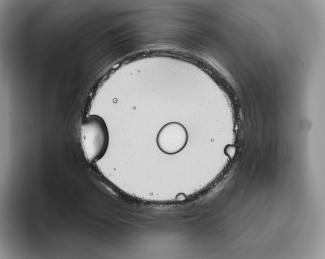 X0000093520969200711091736