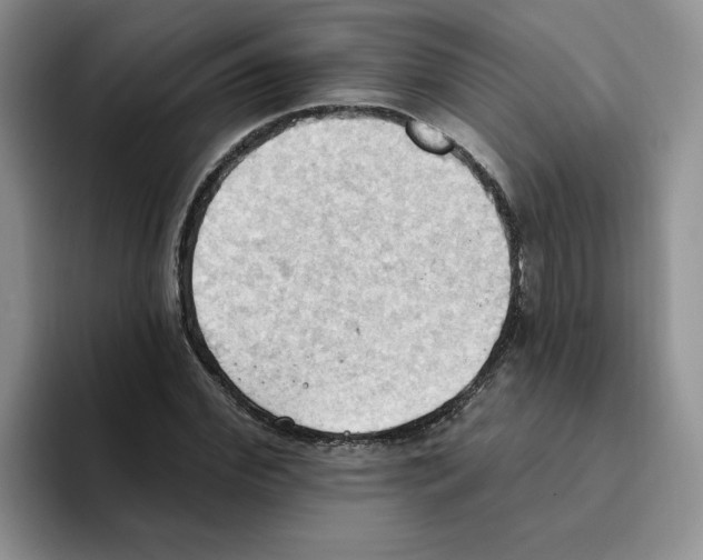 X0000093520972200711091736