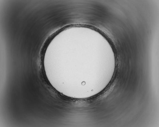 X0000093520974200711091736