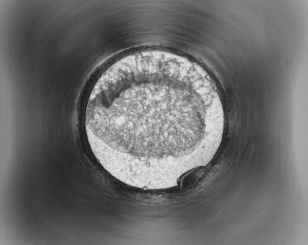 X0000093520975200711091736