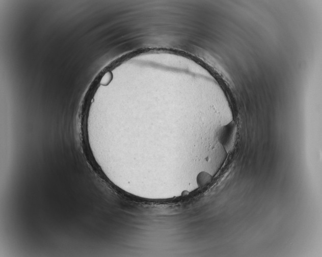 X0000093520976200711091736