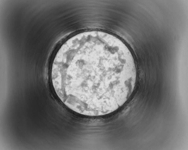 X0000093520979200711091736