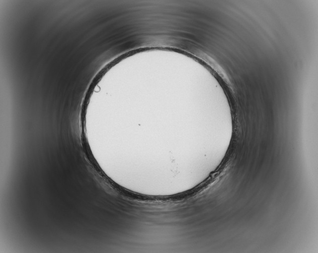 X0000093520980200711091736