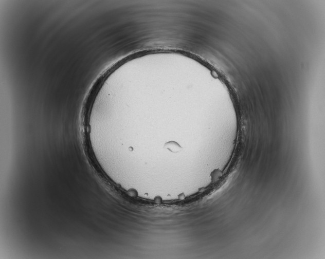 X0000093520981200711091736