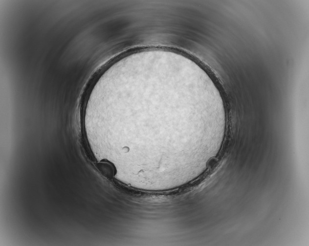 X0000093520982200711091736