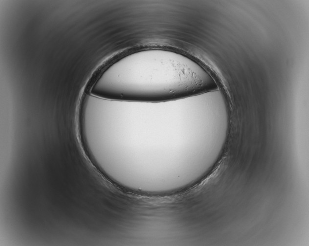 X0000093520984200711091736