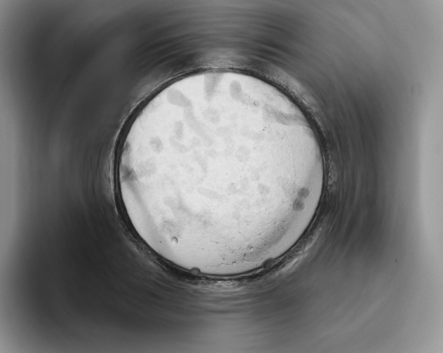 X0000093520986200711091736