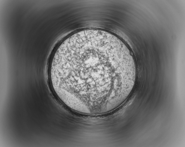 X0000093520987200711091736