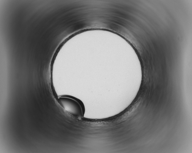 X0000093520988200711091736