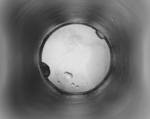 X0000093520989200711091736