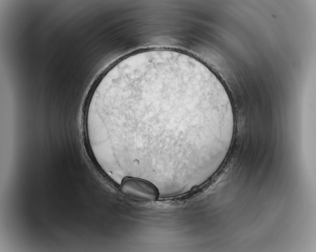 X0000093520990200711091736