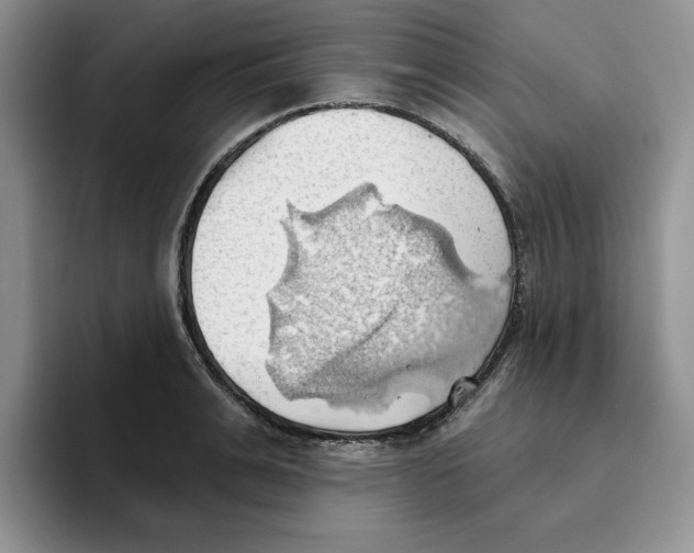 X0000093520991200711091736