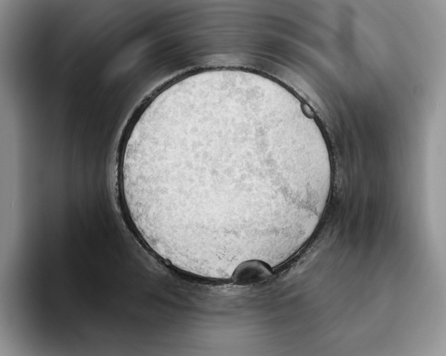 X0000093520992200711091736