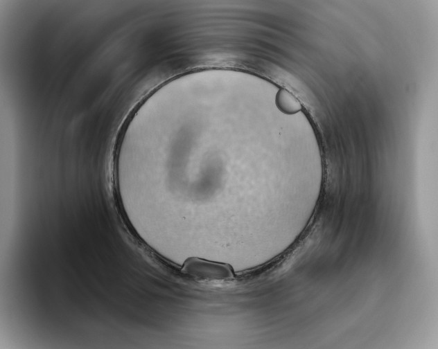 X0000093520994200711091736