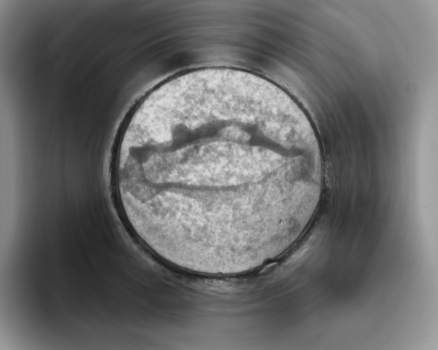 X0000093520995200711091736