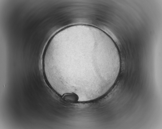 X0000093520996200711091736