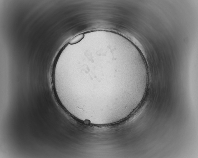 X0000093520997200711091736