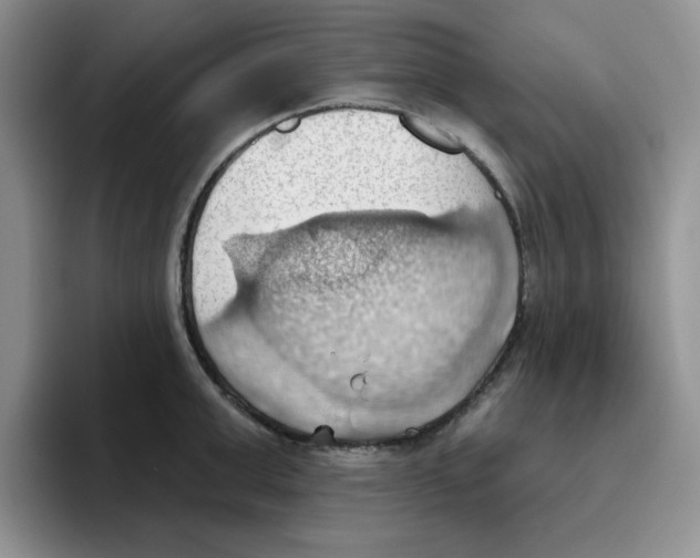 X0000093520999200711091736