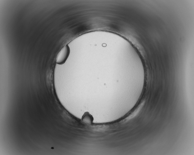 X0000093521001200711091736