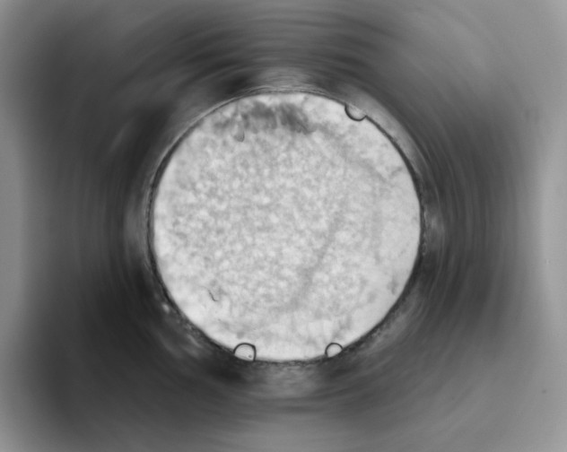 X0000093521002200711091736