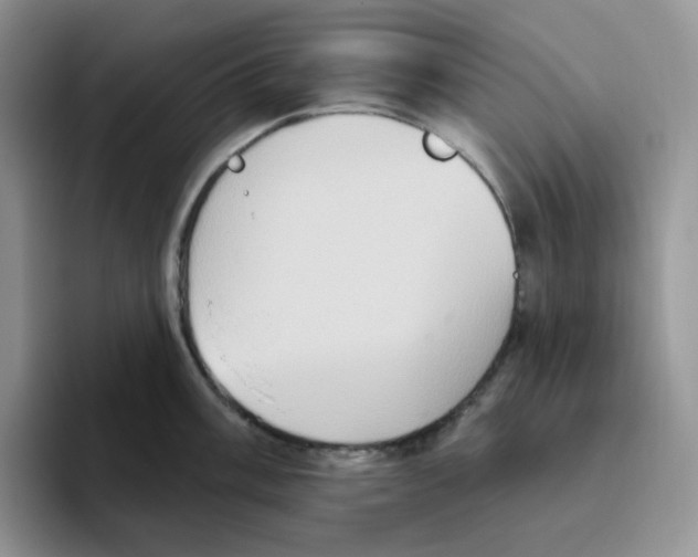 X0000093521003200711091736