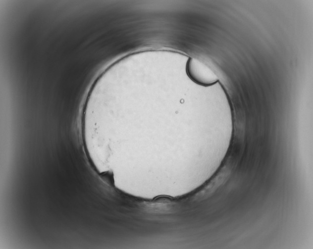 X0000093521004200711091736