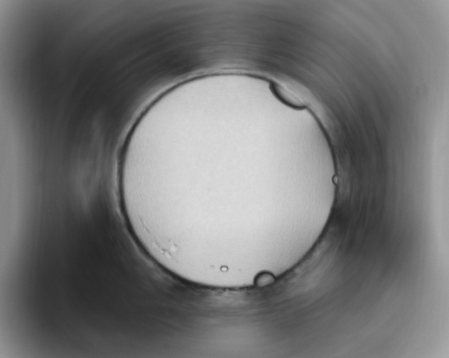 X0000093521006200711091736