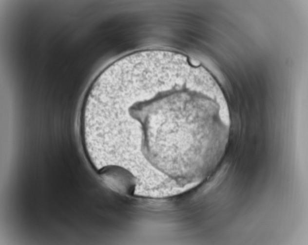 X0000093521007200711091736