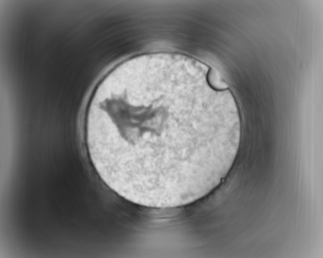 X0000093521008200711091736